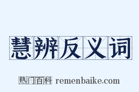 慧辨反义词是什么意思的图片